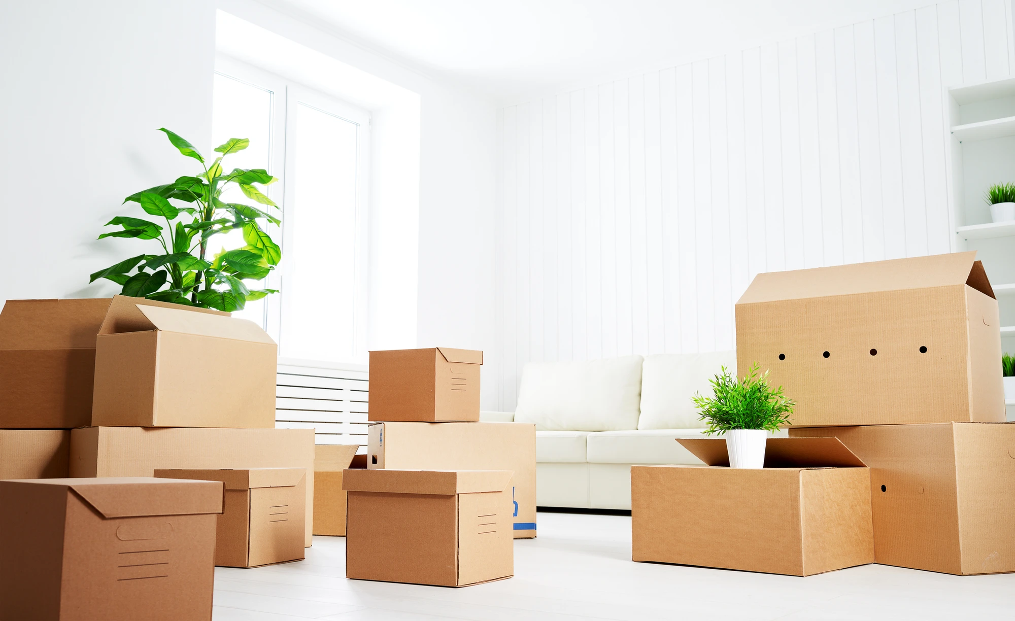 Office Relocation