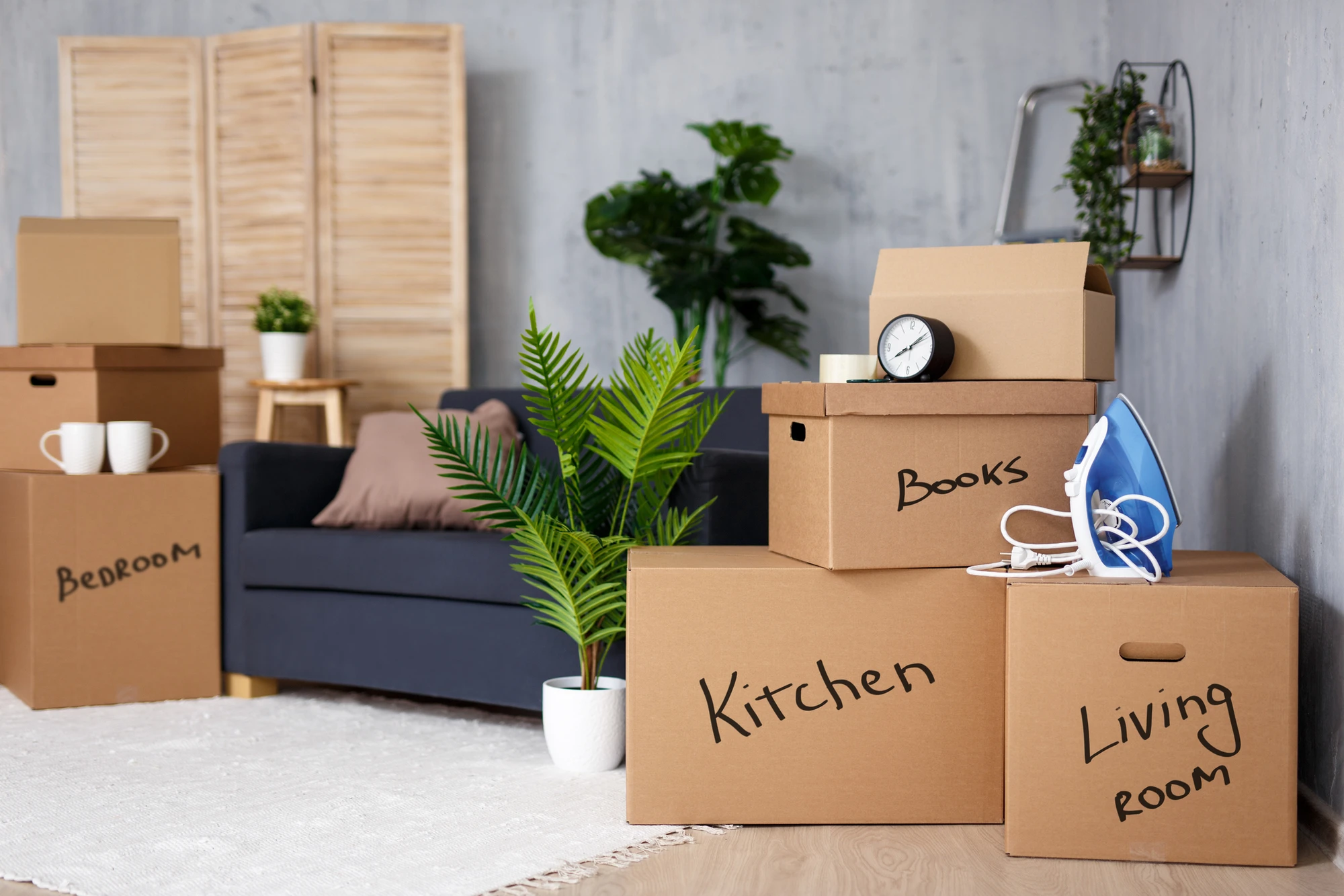 Furniture Moving